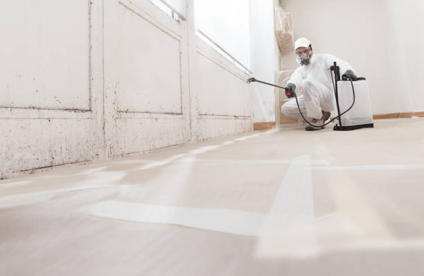 24/7 Emergency Mold Remediation experts in Ridgewood, IL