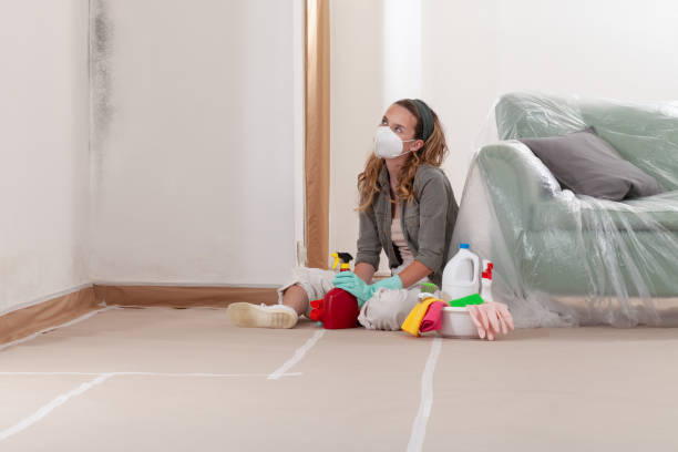 Reliable Mold Remediation contractor in Ridgewood, IL by Car Mold Remediation
